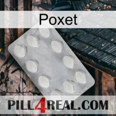 Poxet 16